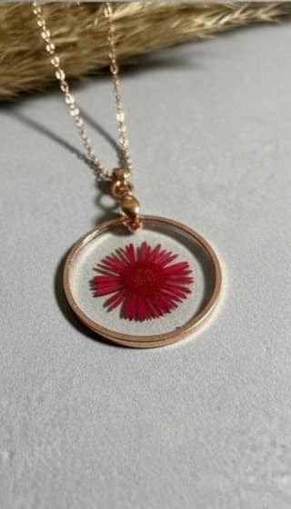 Red Aster