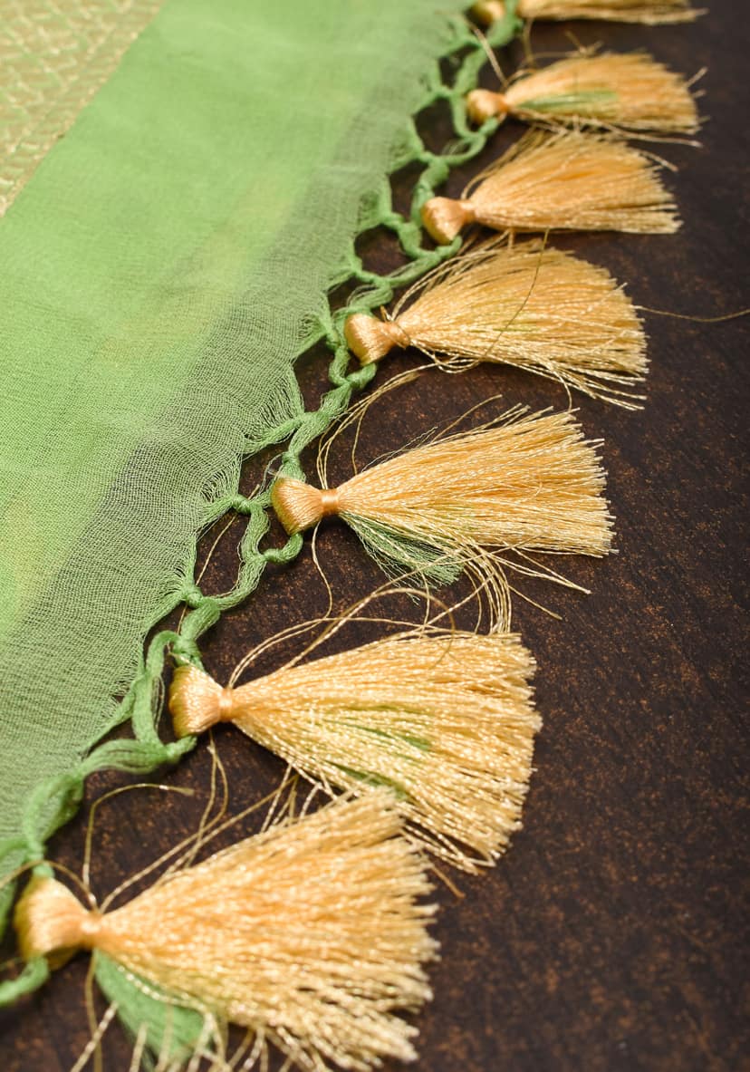 Hand Brush Dye Banarasi Georgette Saree with Rose Jaal in Lime Green | SILK MARK CERTIFIED view 8