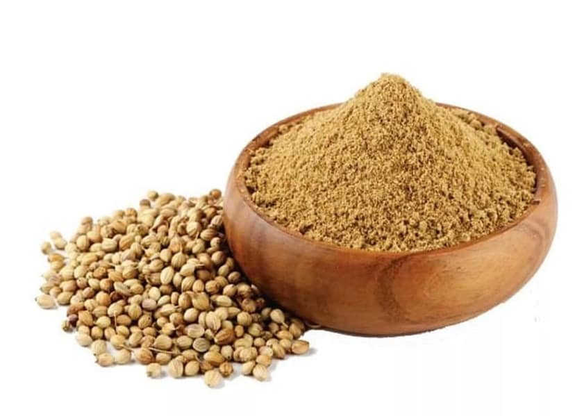 Coriander Whole view 2
