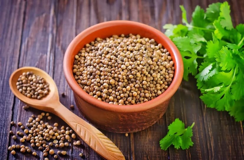 Coriander Whole view 3