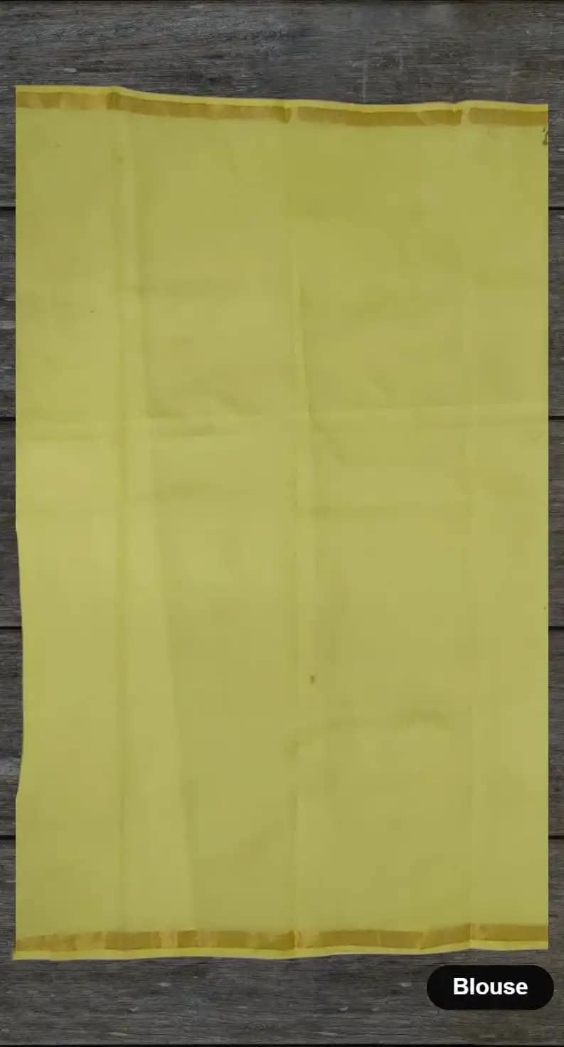 Kota Doria Cotton-Silk Saree, Block Print with Bright Yellow Border view 5