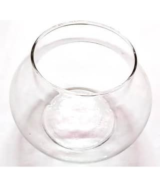 Green plant indoor Glass Table Vase 6 cms - Pack of 1