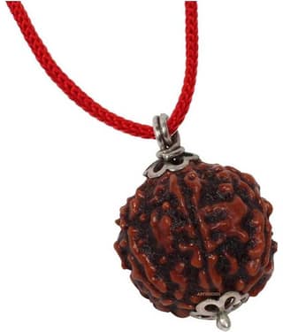 Astrodidi 6 Mukhi Rudraksha Silver Pendant With Lab Certificate