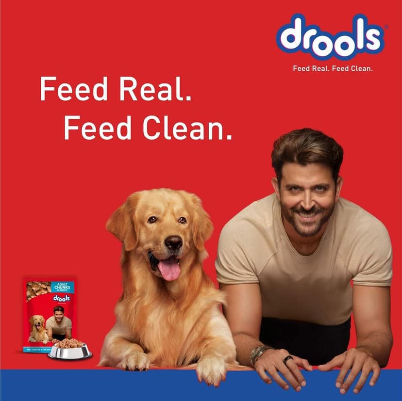 Drools Adult Wet Dog Food, Real Chicken and Chicken Liver Chunks in Gravy 0.9Kg (150g x6) view 5