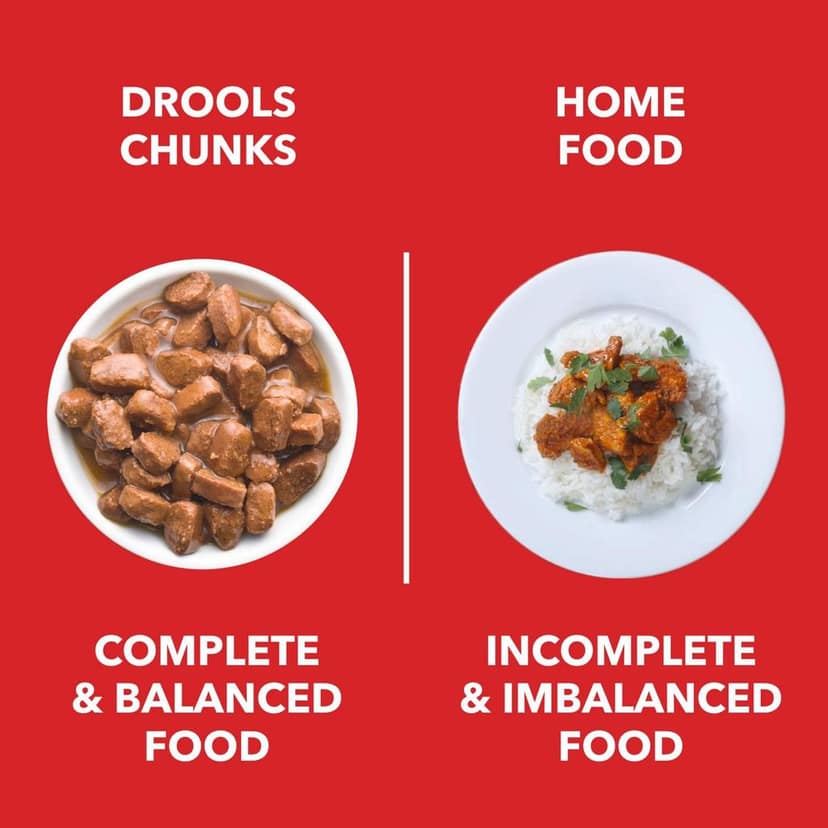 Drools Adult Wet Dog Food, Real Chicken and Chicken Liver Chunks in Gravy 0.9Kg (150g x6) view 8