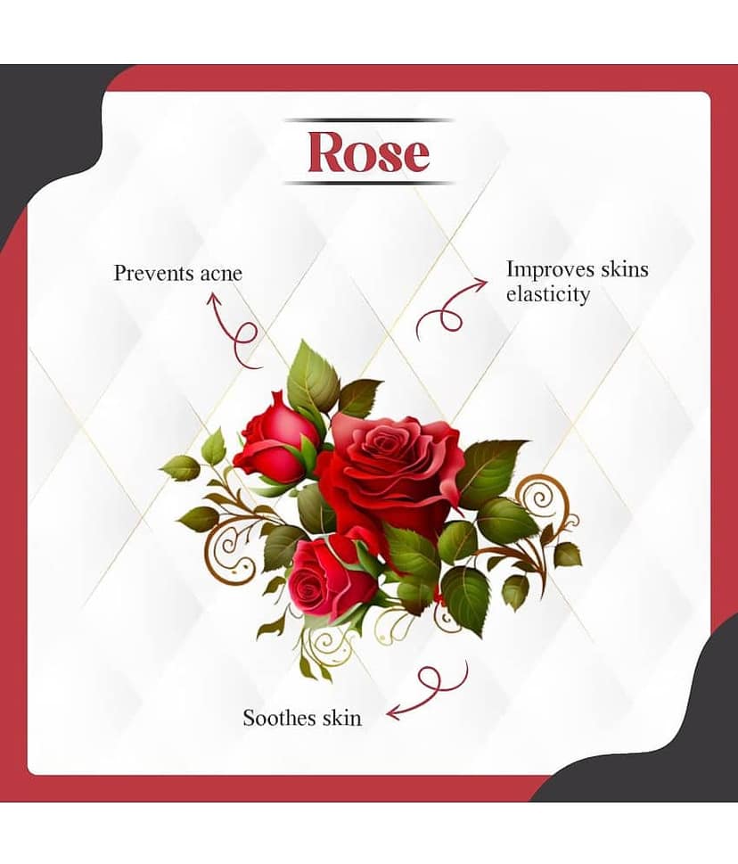 KURAIY Rose & Aloe Vera Nourishment And Moisturizer Glow Up Face Gel for All Skin Types 100g view 2