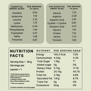 Earthful Honest Plant Protein-Japanese Matcha