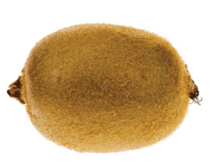 Kiwi 1 Box