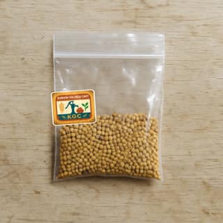 Kumari Gujjela Cart's mustard seeds