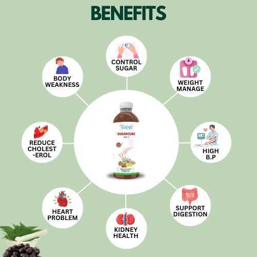 Sampuran Swadeshi Sugarcure Juice - Natural Regulates Blood Sugar Level 1 L view 2