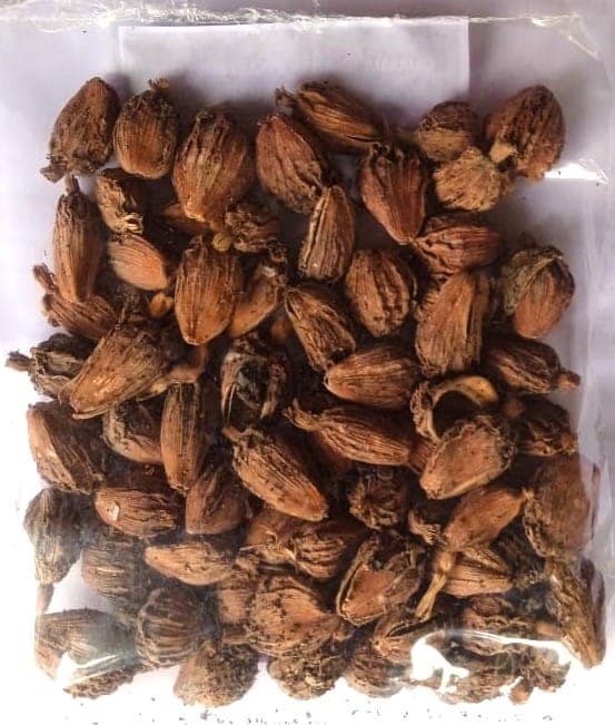 BADI ELAECHI (BLACK CARDAMOM) view 3