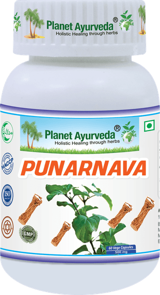 Planet Ayurveda Punarnava 60 Capsules 500mg - Pure & Natural Punarnava Extract - Supports Kidney Function, Reduces Inflammation, and Promotes Overall Health