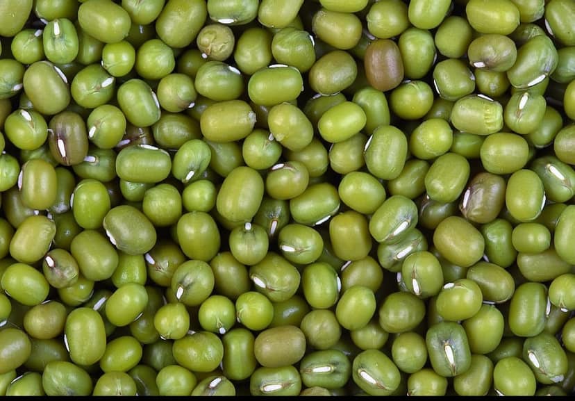 Green Moong dal view 2
