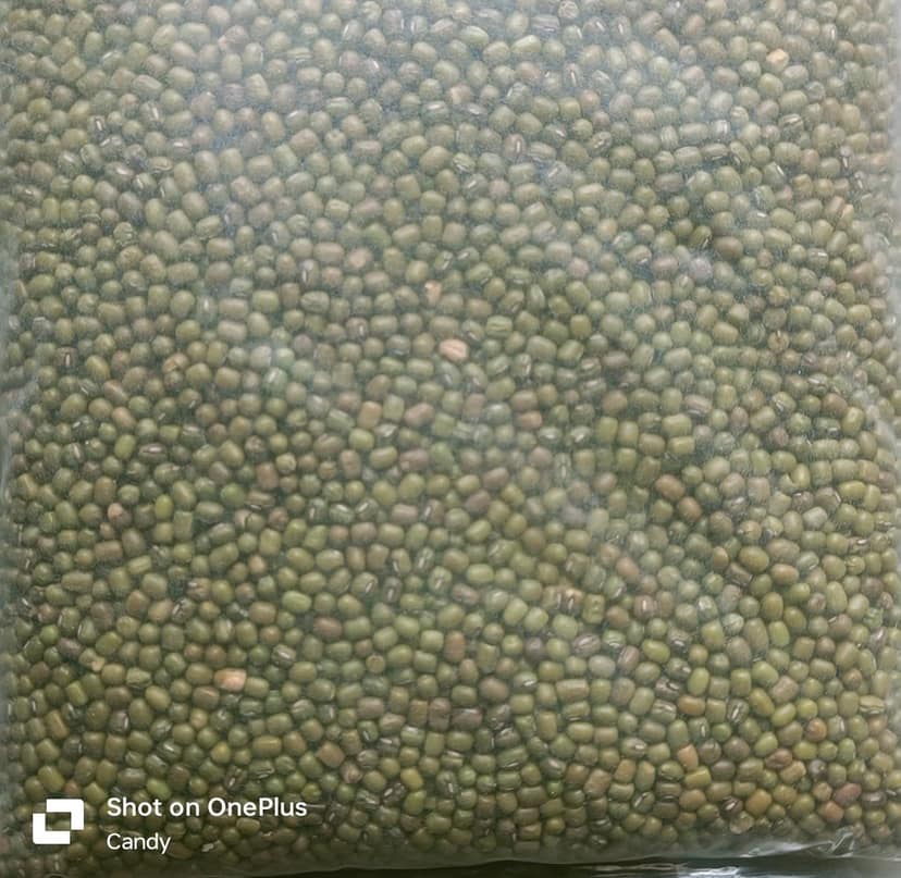 Green Moong dal view 3