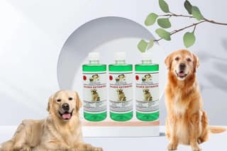 SWACCH Shampoo Specially FORMULATED for Golden Retriever (500ML) (Pack of 3) NEEM ALOVERA