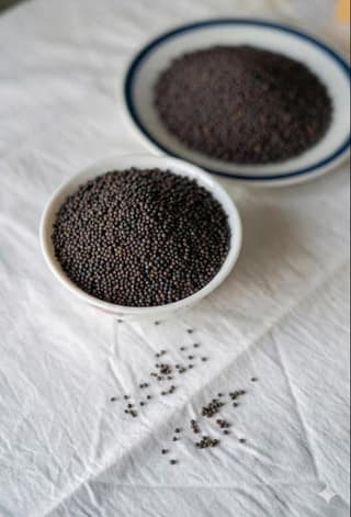 Mustard Seeds (Rai) 50 g