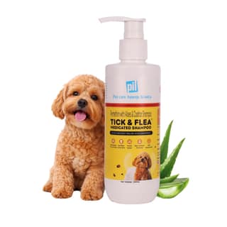 Tick And Flea Dog Shampoo - 200ml