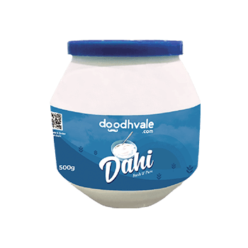 Taaza Matka Dahi 500g