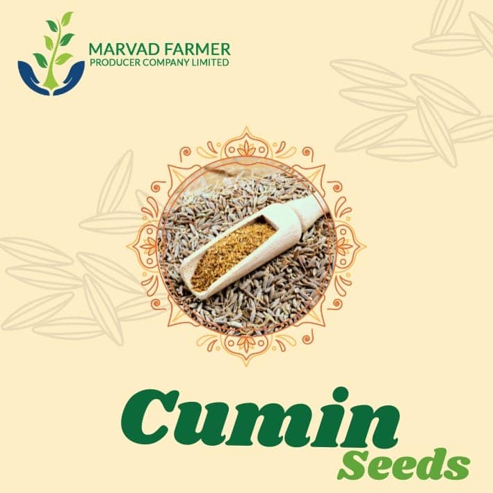 Cumin Seeds view 3