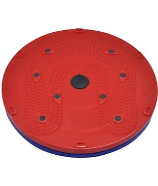 Bhavika Enterprises Acupressure Power Mat Twister for Tummy Trimmer , Weight Loss , Works on Many Parts of The Body and Detoxifies the Body