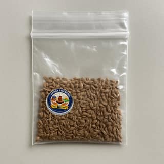 Urmila Essentials's ajwain seeds