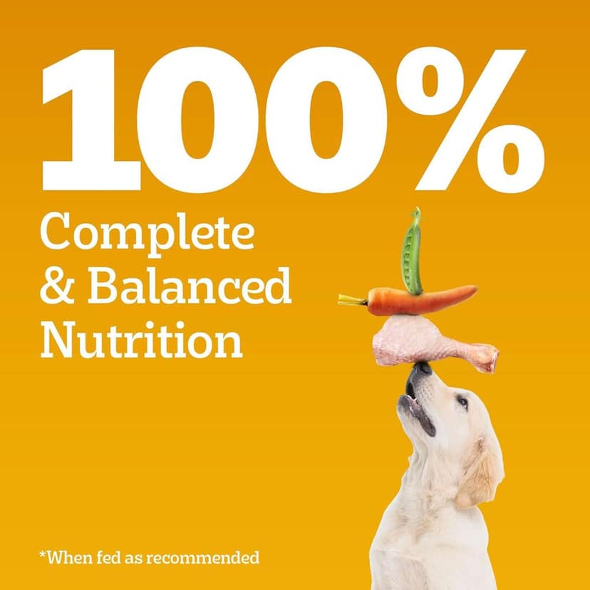 Pedigree Puppy Dry Dog Food, Chicken & Milk view 3