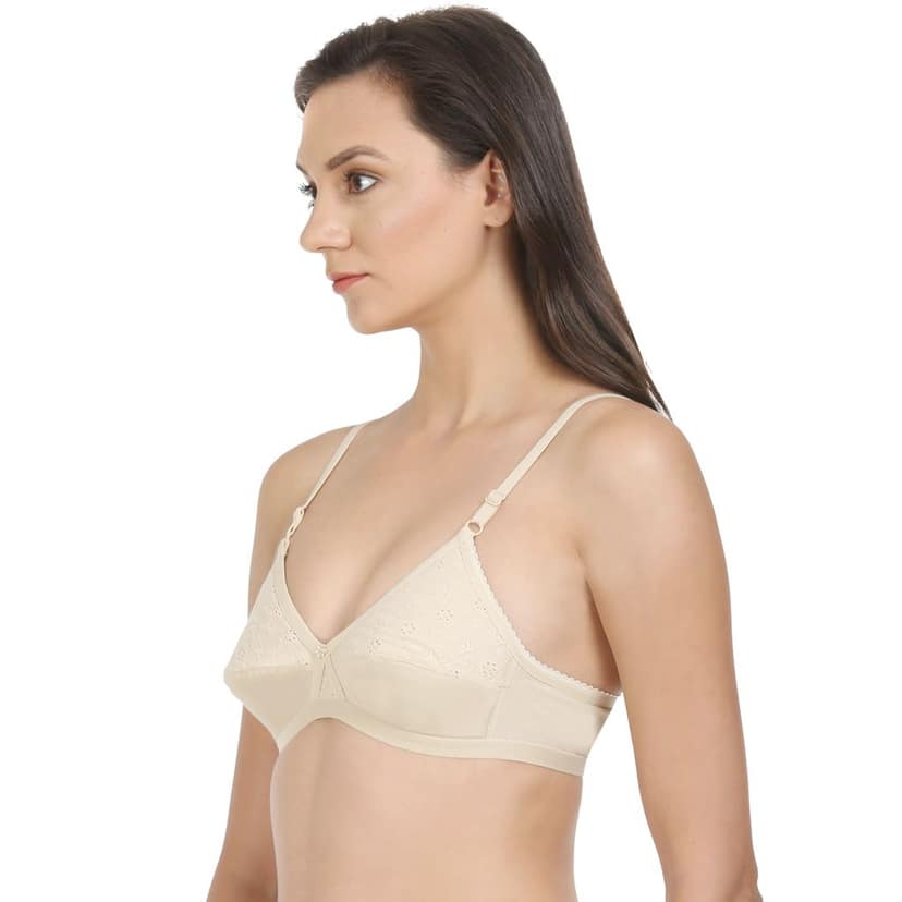 Bodycare Cotton Lightly Padded Non wired Tshirt Bra-Pack of 3 view 3