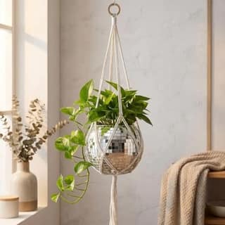 Glass Planter 6 Inch with Flat Base, White Cotton Macrame Plant Hanger Indoor/Outdoor Plants, Xmas Home Décor &