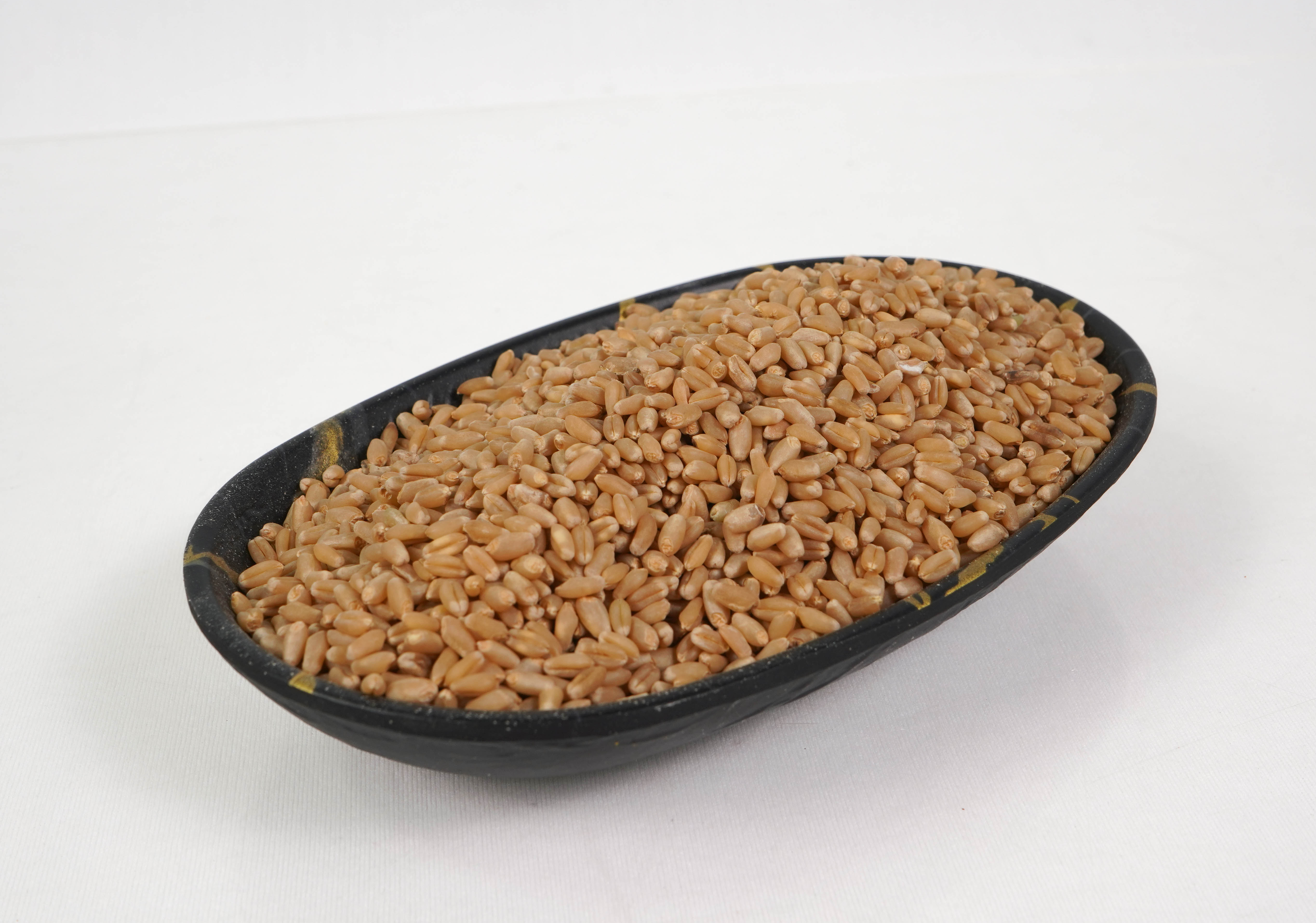 Premium Whole Wheat Grain view 2