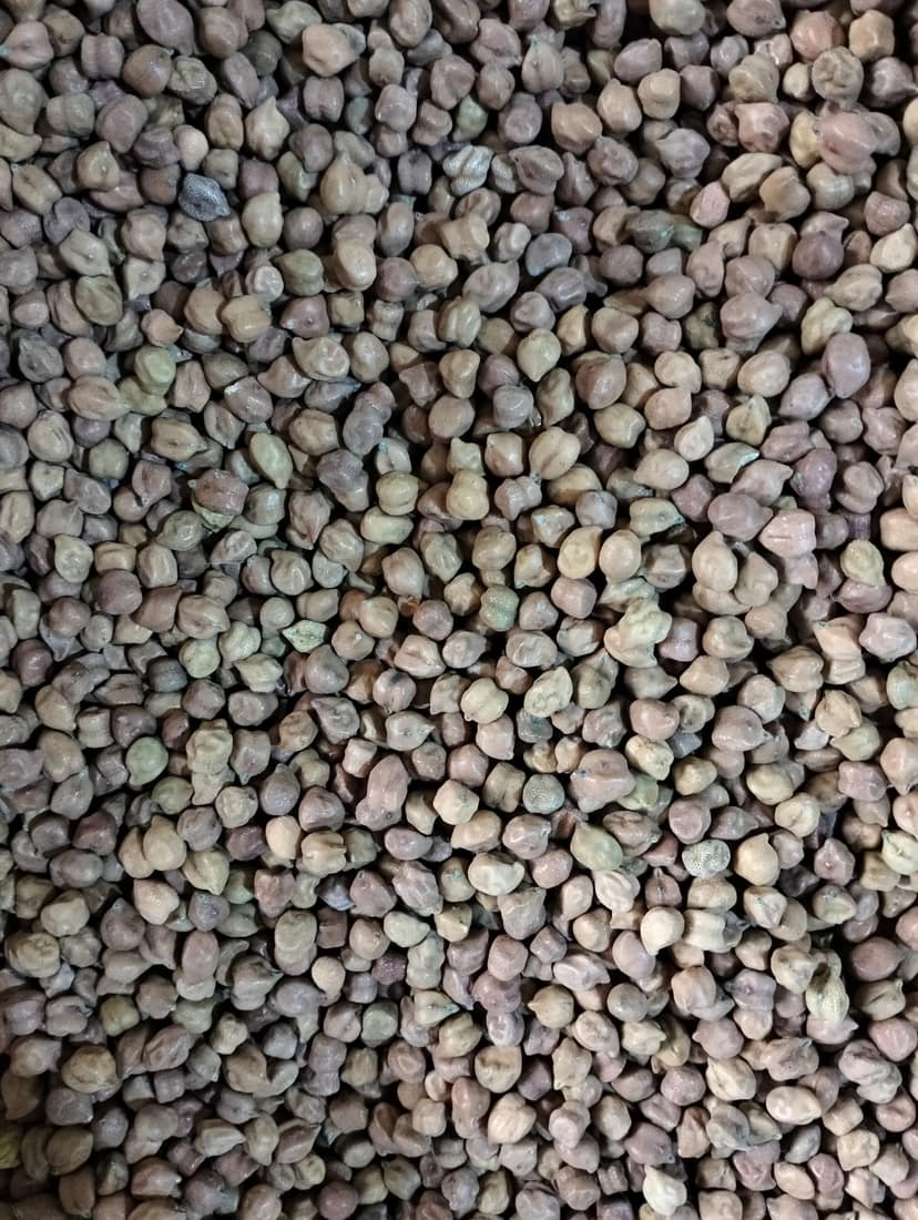 Kala chana loose