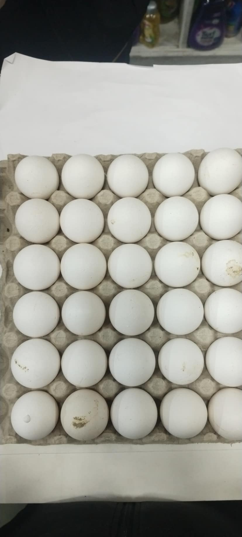 Eggs tray 30 pcs