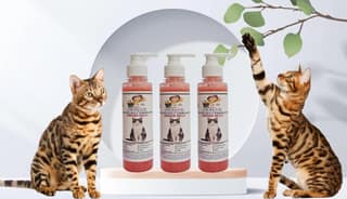 SWACCH Premium Shampoo for Indian Billi (200ML) (Pack of 3) Jasmine