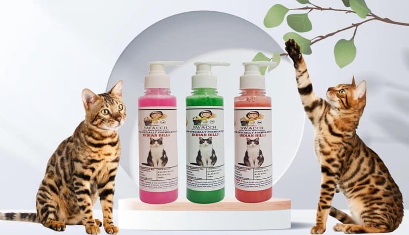 SWACCH Premium Shampoo for Indian Billi (200ML) (Pack of 3) Rose, NEEM ALOVERA & Jasmine