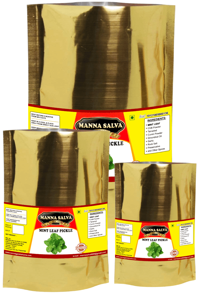 Manna Salva Pickles- MintLeaf Pickle - Veg Pickle view 4