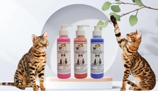 SWACCH Premium Shampoo for Indian Billi (200ML) (Pack of 3) Rose, Strawberry & Lavender