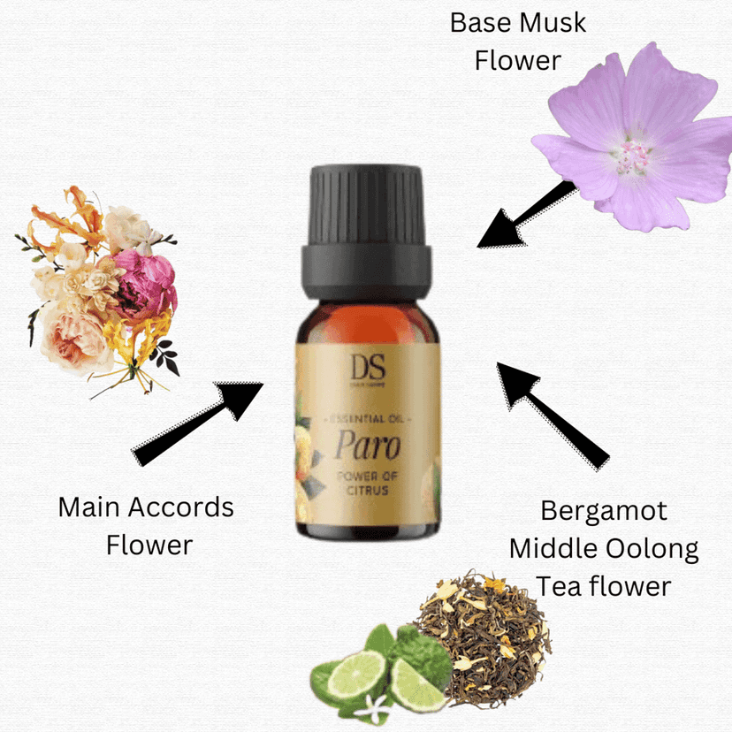 Chann Studio Exotic Aromas Paro Essential Oil: Lavender, Lemongrass, Jasmine, Mogra, Rose | 100% Pure & Natural Essential Oil | Best for Aromatherapy| Aromatherapy Fragrance Oil for Home & Mind | 15ml Bottles view 9