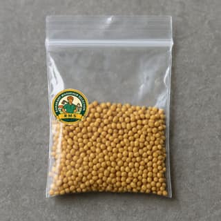 Ramakant Mahakhur Selection's mustard seeds