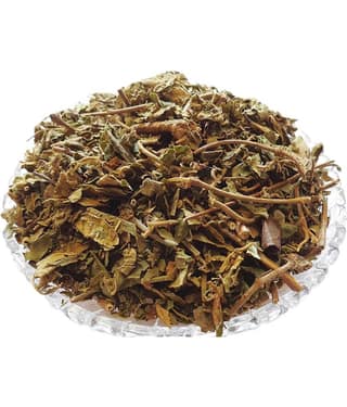 Nutrixia Food GUDMAR - GURMAR - गुड़मार - GUDMAR - MADHUNASHNI 250 gm