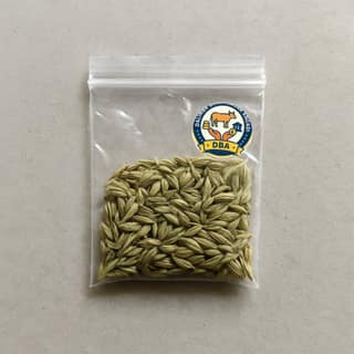 Dalimba Bharasagar Angadi's saunf (fennel seeds)