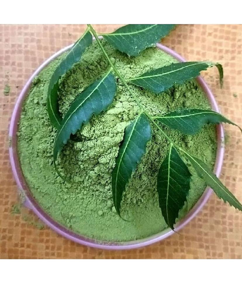MYGODGIFT Neem Patta Powder - Azadirachta Indica - Neem Leaves 100 gm view 4