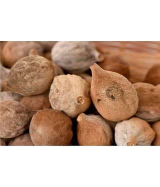 MYGODGIFT Baheda Bibhitaki Sabut Belliric Myrobalan 200 gm