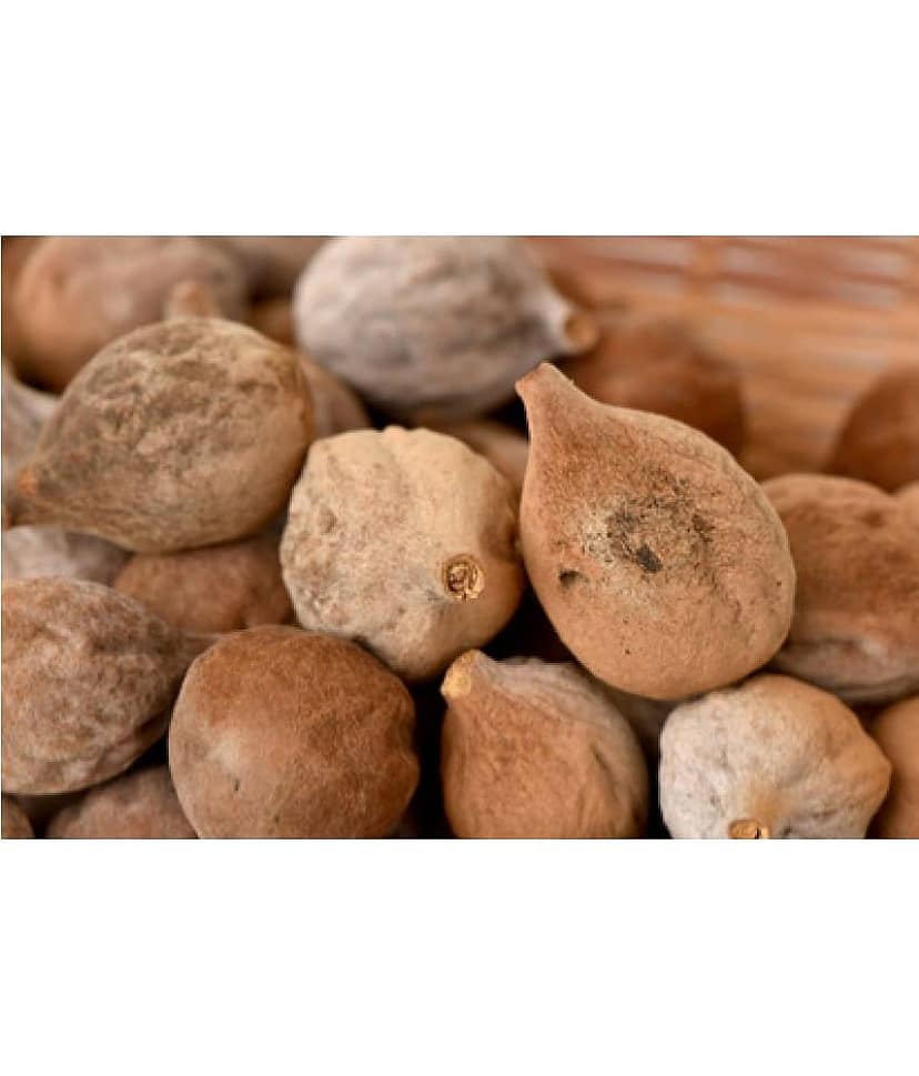MYGODGIFT Baheda Bibhitaki Sabut Belliric Myrobalan 200 gm view 4