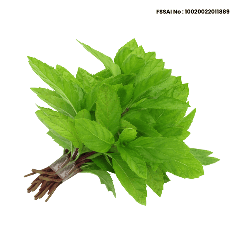 Mint Leaves view 3