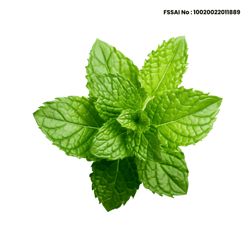 Mint Leaves view 4
