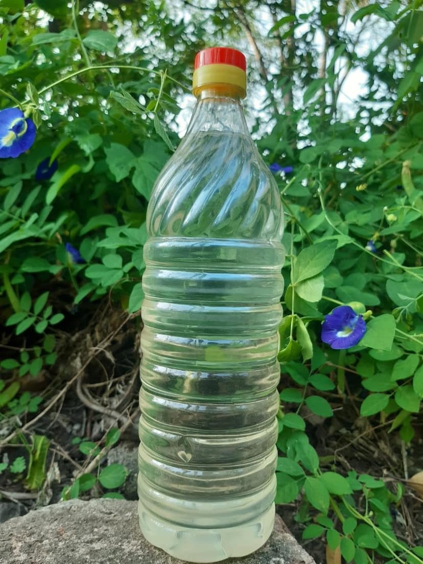 Cold Pressed Coconut Oil (1 Litre) | Pure & Natural | Cooking & Hair Care