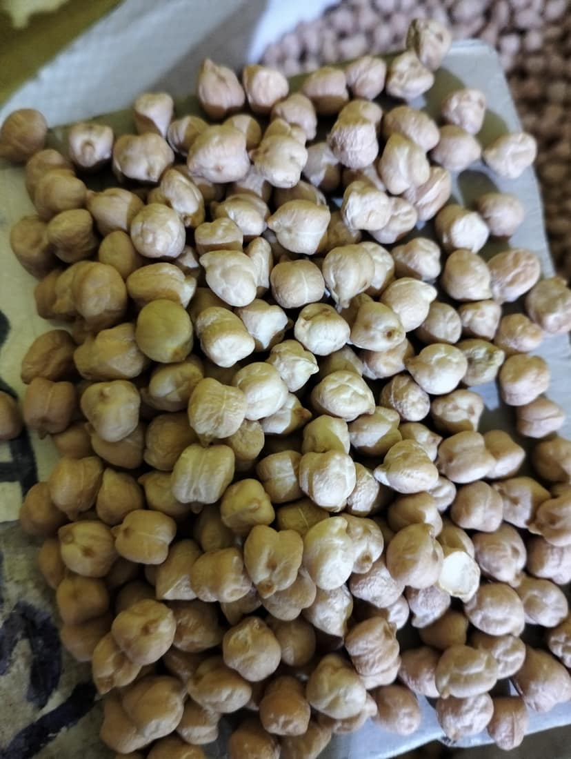 Kabuli chana