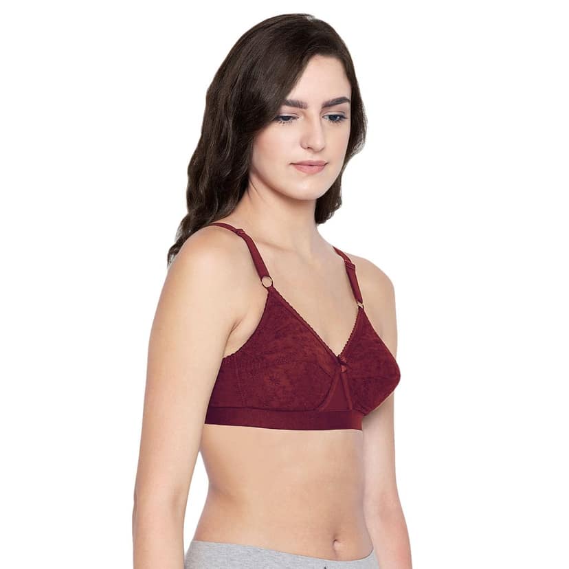Bodycare 100% Cotton Lightly Padded Non wired Tshirt Bra-Pack of 3 view 5