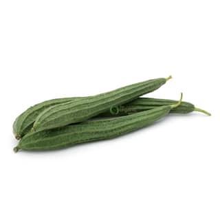 SS RIDGE GOURD