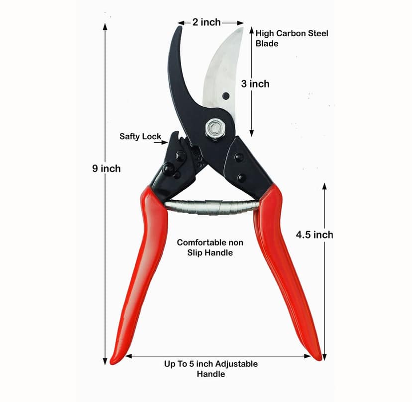 Major And Pruner (Set of 2) view 2