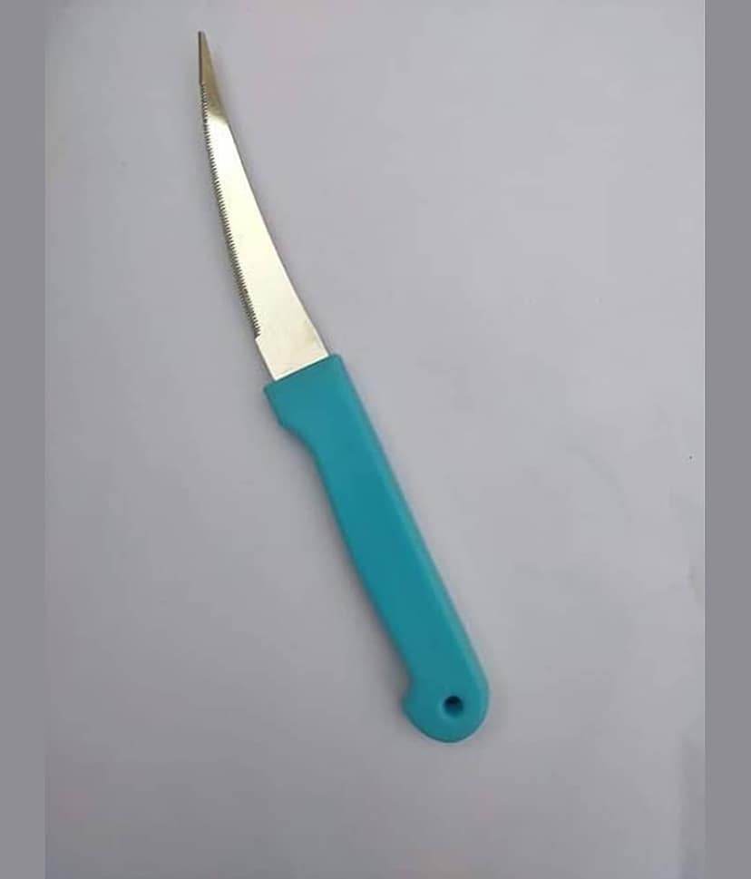 Professional Paring Knife, Steel Blade with Plastic Handle, Curved Design for Vegetables and Fruits (Blue) view 2